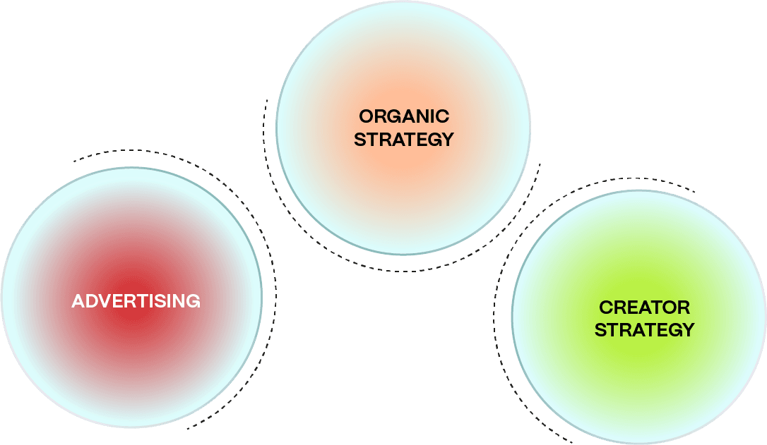 Diagram of advertising, organic strategy and creator strategy as three separate circles