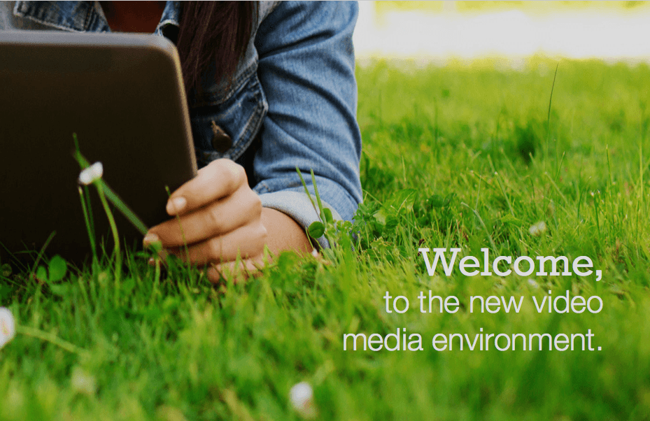 Video Advertising on Walled Gardens: Platforms and Offerings